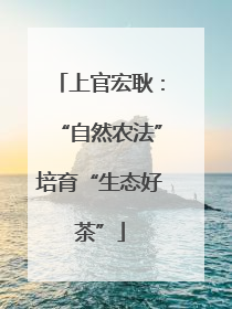 上官宏耿：“自然农法”培育“生态好茶”