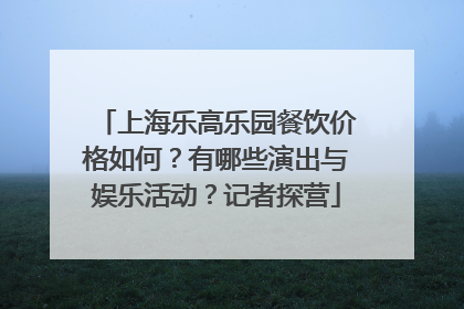 上海乐高乐园餐饮价格如何？有哪些演出与娱乐活动？记者探营