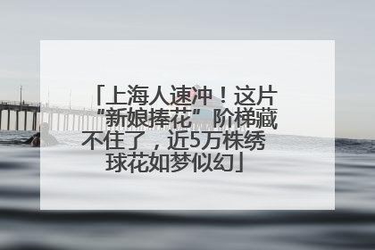 上海人速冲！这片“新娘捧花”阶梯藏不住了，近5万株绣球花如梦似幻