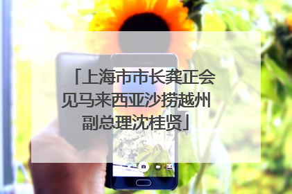 上海市市长龚正会见马来西亚沙捞越州副总理沈桂贤