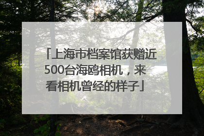 上海市档案馆获赠近500台海鸥相机，来看相机曾经的样子