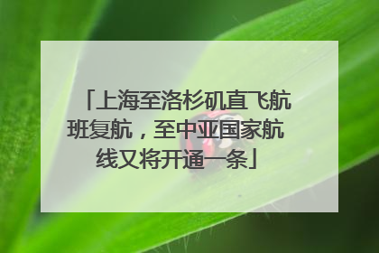上海至洛杉矶直飞航班复航，至中亚国家航线又将开通一条