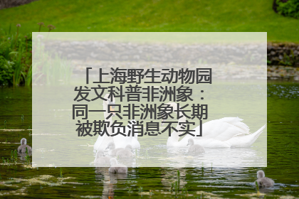 上海野生动物园发文科普非洲象：同一只非洲象长期被欺负消息不实