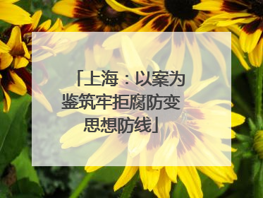 上海：以案为鉴筑牢拒腐防变思想防线