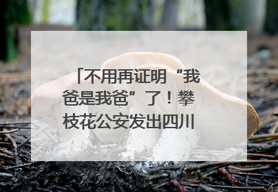 不用再证明“我爸是我爸”了！攀枝花公安发出四川首张“户籍人口直系亲属关系谱”