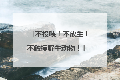 不投喂！不放生！不触摸野生动物！