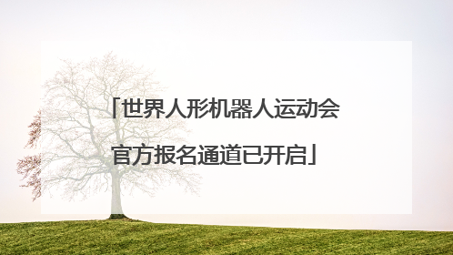世界人形机器人运动会官方报名通道已开启