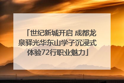世纪新城开启 成都龙泉驿光华东山学子沉浸式体验72行职业魅力
