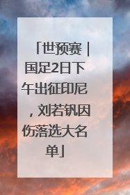 世预赛｜国足2日下午出征印尼，刘若钒因伤落选大名单