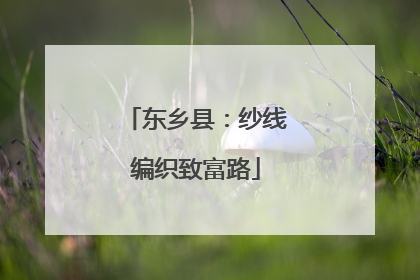 东乡县：纱线编织致富路