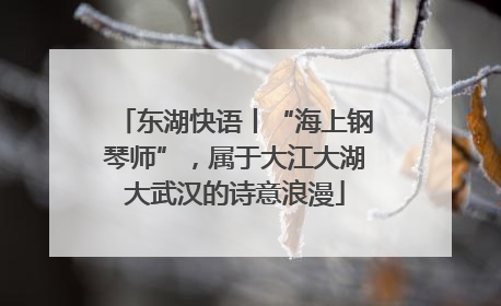 东湖快语丨“海上钢琴师”，属于大江大湖大武汉的诗意浪漫
