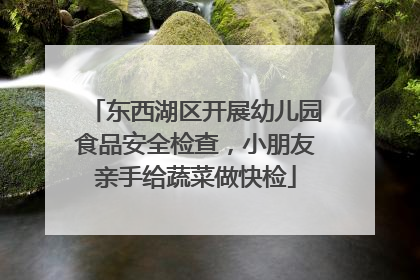 东西湖区开展幼儿园食品安全检查，小朋友亲手给蔬菜做快检
