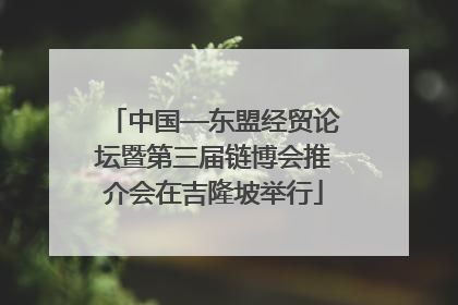 中国—东盟经贸论坛暨第三届链博会推介会在吉隆坡举行