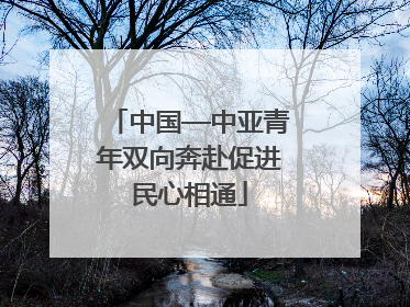 中国—中亚青年双向奔赴促进民心相通