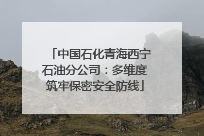 中国石化青海西宁石油分公司：多维度筑牢保密安全防线