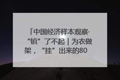 中国经济样本观察·“镇”了不起｜为衣做架，“挂”出来的80亿元“衣架产业”