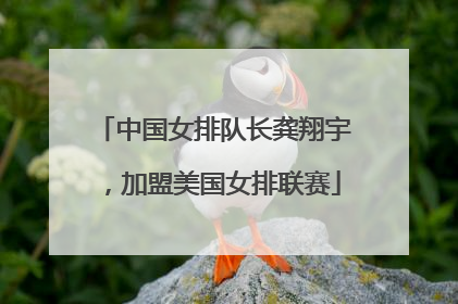 中国女排队长龚翔宇，加盟美国女排联赛