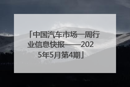 中国汽车市场一周行业信息快报——2025年5月第4期