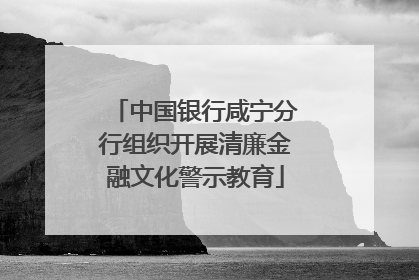 中国银行咸宁分行组织开展清廉金融文化警示教育