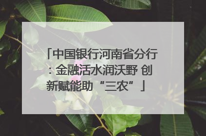中国银行河南省分行：金融活水润沃野 创新赋能助“三农”