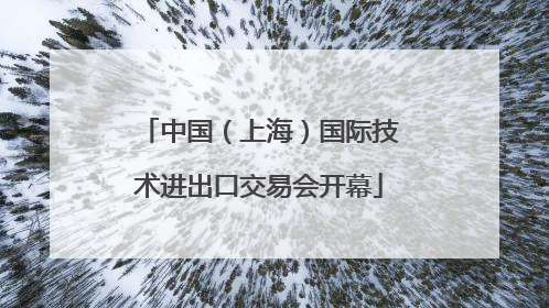 中国（上海）国际技术进出口交易会开幕