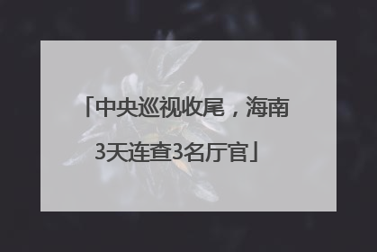 中央巡视收尾，海南3天连查3名厅官