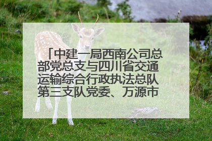 中建一局西南公司总部党总支与四川省交通运输综合行政执法总队第三支队党委、万源市草坝镇莲花院村党支部开展党建联建