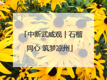 中新武威观｜石榴同心 筑梦凉州