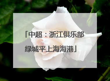 中超：浙江俱乐部绿城平上海海港