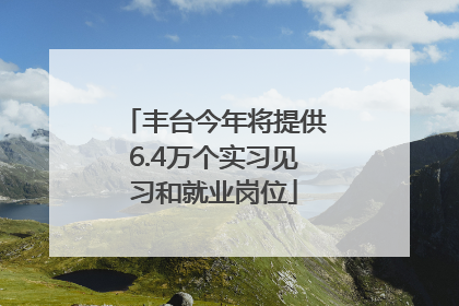 丰台今年将提供6.4万个实习见习和就业岗位