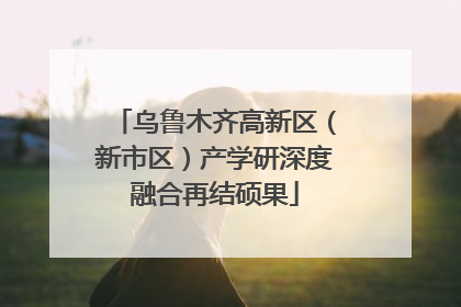 乌鲁木齐高新区（新市区）产学研深度融合再结硕果
