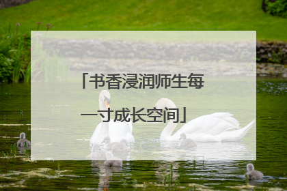 书香浸润师生每一寸成长空间