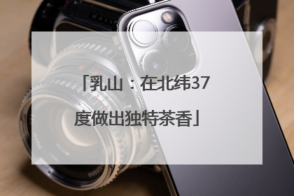 乳山：在北纬37度做出独特茶香