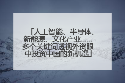 人工智能、半导体、新能源、文化产业……多个关键词透视外资眼中投资中国的新机遇