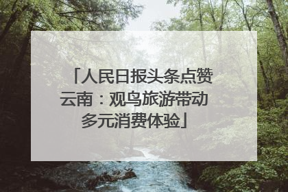 人民日报头条点赞云南：观鸟旅游带动多元消费体验