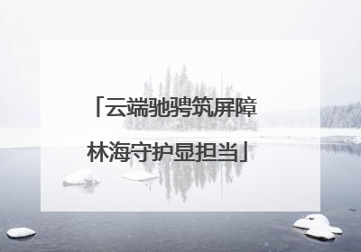 云端驰骋筑屏障 林海守护显担当