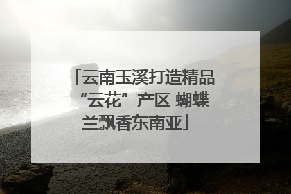 云南玉溪打造精品“云花”产区 蝴蝶兰飘香东南亚