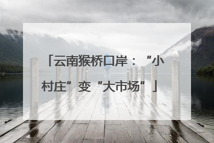 云南猴桥口岸：“小村庄”变“大市场”