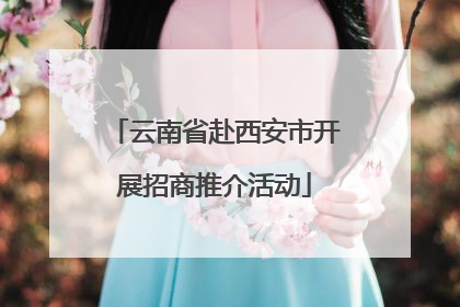 云南省赴西安市开展招商推介活动