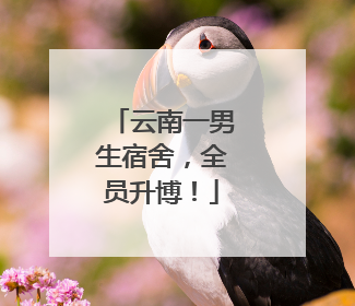 云南一男生宿舍，全员升博！