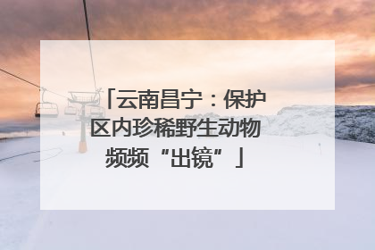 云南昌宁：保护区内珍稀野生动物频频“出镜”