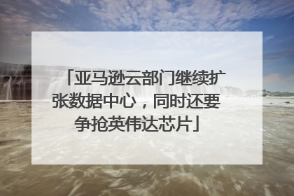 亚马逊云部门继续扩张数据中心，同时还要争抢英伟达芯片
