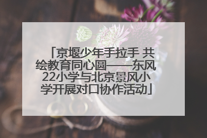 京堰少年手拉手 共绘教育同心圆——东风22小学与北京景风小学开展对口协作活动