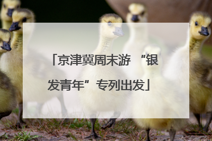 京津冀周末游 “银发青年”专列出发