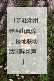 亲赴湖州寻两山真谛，校地联动话国际新声
