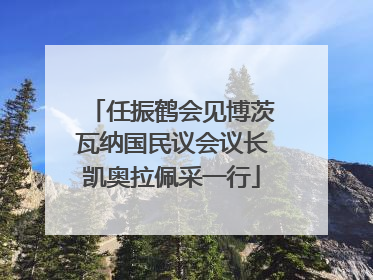 任振鹤会见博茨瓦纳国民议会议长凯奥拉佩采一行