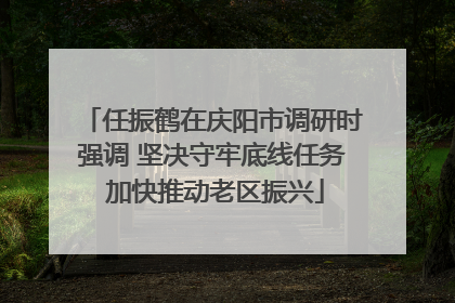 任振鹤在庆阳市调研时强调 坚决守牢底线任务 加快推动老区振兴