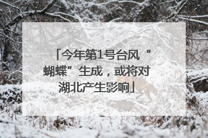 今年第1号台风“蝴蝶”生成，或将对湖北产生影响