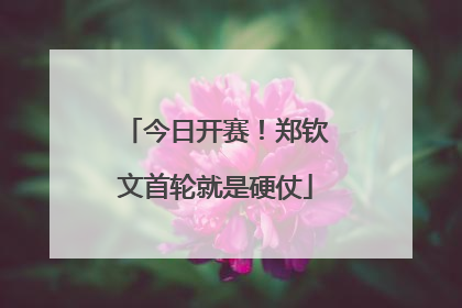 今日开赛！郑钦文首轮就是硬仗