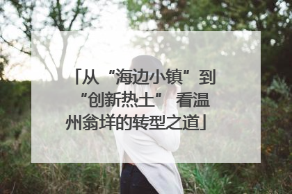 从“海边小镇”到“创新热土” 看温州翁垟的转型之道